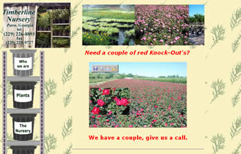 click to see this site